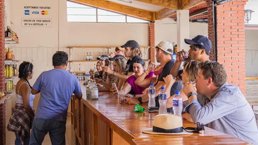From Oaxaca de Juarez: Hierve el Agua and Mezcal Distillery - Mezcal distillery tour: agave-to-bottle lessons paired with generous tastings