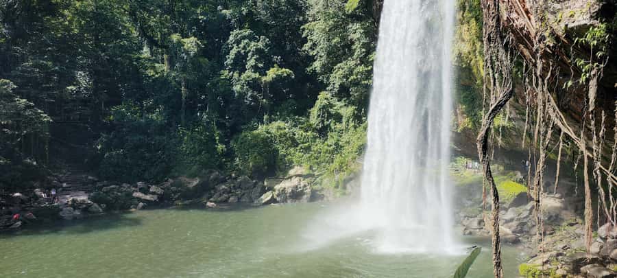 From Palenque: Misol-Ha and Agua Azul Waterfalls - Misol-Ha Waterfall: 20 Meters of Mist and a Calm Break