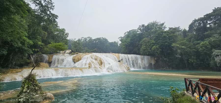 From Palenque: Misol-Ha and Agua Azul Waterfalls - Food, Water, and Real-World Comfort Tips
