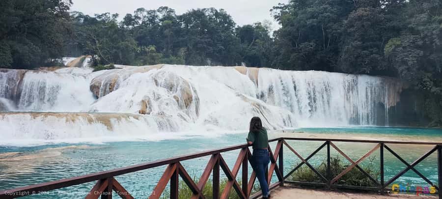 From Palenque: Misol-Ha and Agua Azul Waterfalls - Price and Value: Is $57 a Fair Deal?