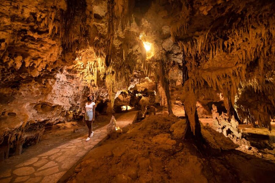 From Playa del Carmen: Xplor Park Admission, Full Day - Price and value: is $182 per person a fair deal?