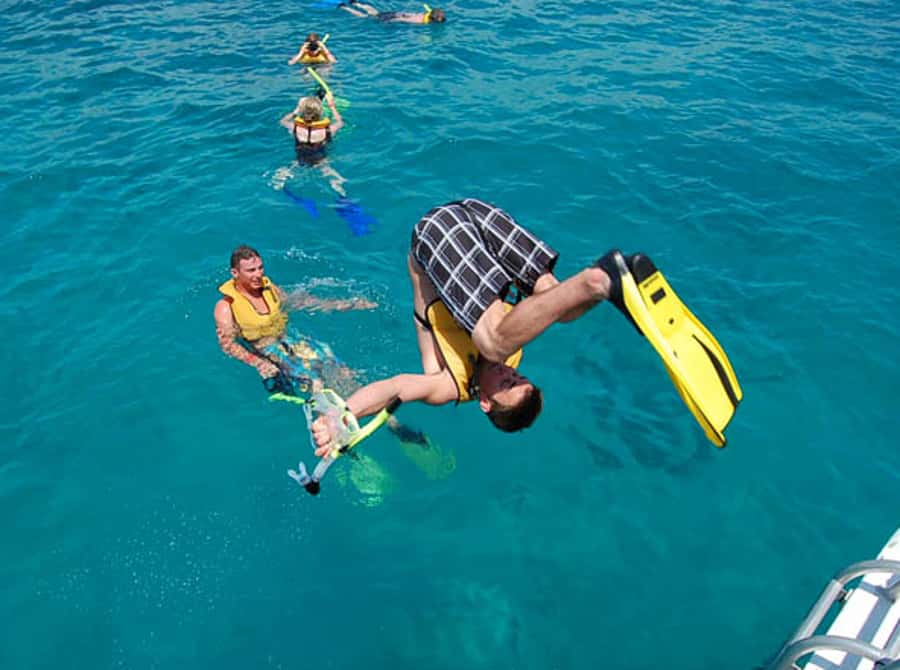 From Puerto Aventuras: Share Catamaran Tour - Puerto Aventuras Catamaran, The Sweet Spot for First-Timers