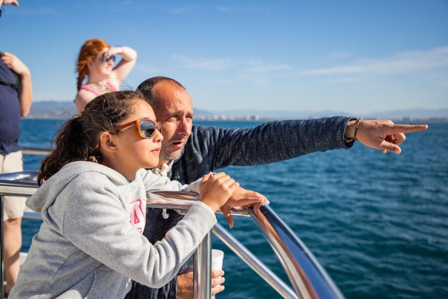 From Puerto Vallarta/Nuevo Vallarta: Whale Watching Cruise - Should You Book This Whale Watching Cruise?