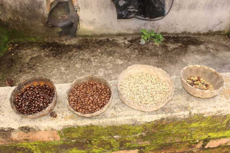 From Puerto Vallarta: San Sebastian del Oeste with Lunch - Key highlights at a glance