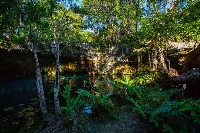 From Riviera Maya: 3 Cenotes Adventure Tour with Lunch - Vegetarian Picnic Lunch Made by a Mayan Family