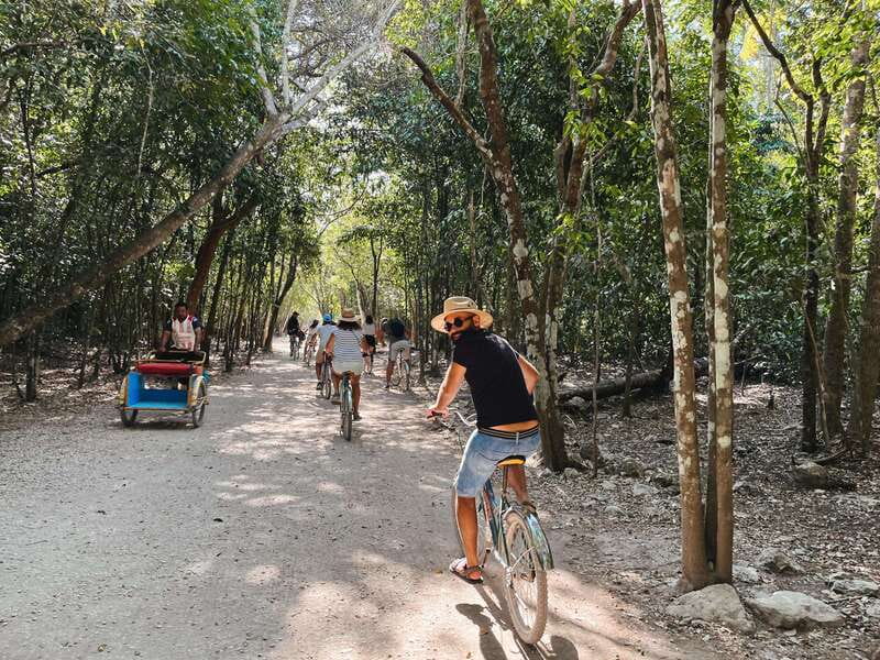 From Riviera Maya: Coba, Punta Laguna & Cenote Guided Trip - Punta Laguna reserve: monkeys, hiking choices, and zip-line views