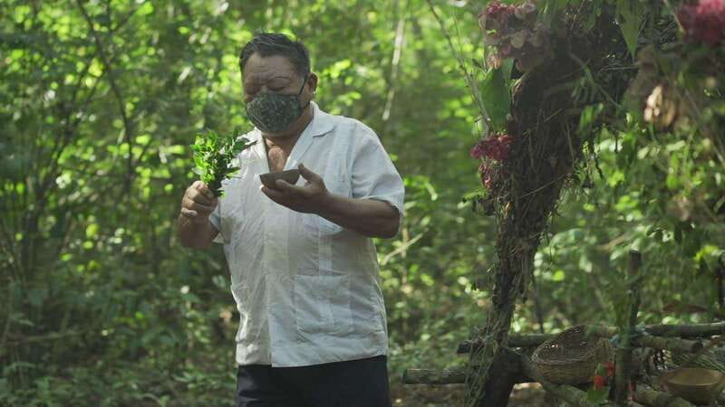 From Riviera Maya: Coba, Punta Laguna & Cenote Guided Trip - Should you book this Coba and Punta Laguna guided trip from Tulum?