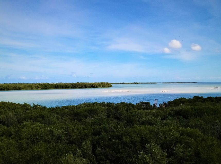 From Riviera Maya: Holbox Full-Day Tour with Lunch - Who this Holbox tour fits best, and who should skip it