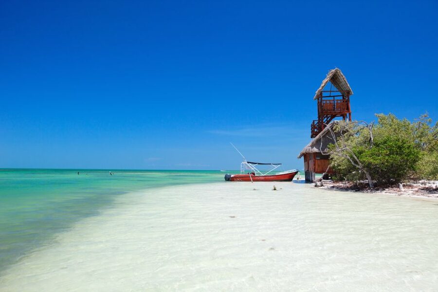From Riviera Maya: Holbox Full-Day Tour with Lunch - Hoyo Negro Yalahau: swim in a freshwater cenote setting
