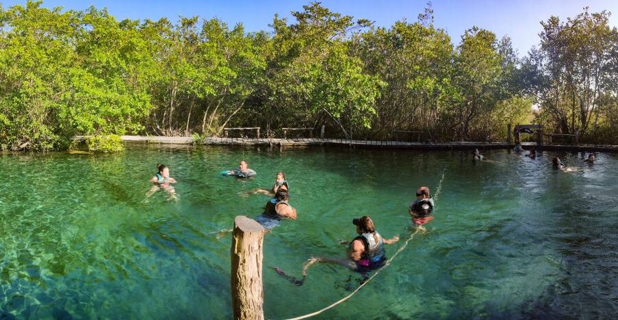 From Riviera Maya: Holbox Full-Day Tour with Lunch - Holbox free time: walk the streets, find beach paths, maybe rent wheels