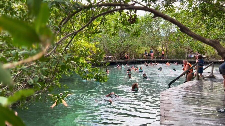 From Riviera Maya: Holbox Full-Day Tour with Lunch - Price and value, plus the extra $40 surcharge you must budget