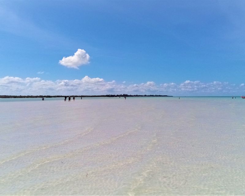 From Riviera Maya: Holbox Full-Day Tour with Lunch - What to pack and how to avoid a miserable Holbox day