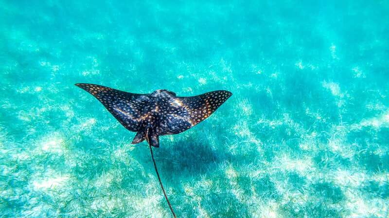 From Riviera Maya: Sian Ka'an Half Day Tour w/ Lunch - When the Weather Changes: The Cenote Option