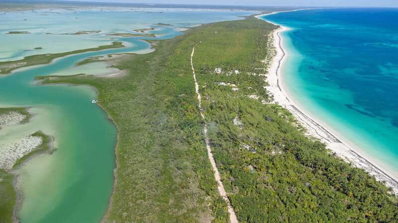 From Riviera Maya: Sian Ka'an Half Day Tour w/ Lunch - Guides and Group Size: Why Small Matters Here
