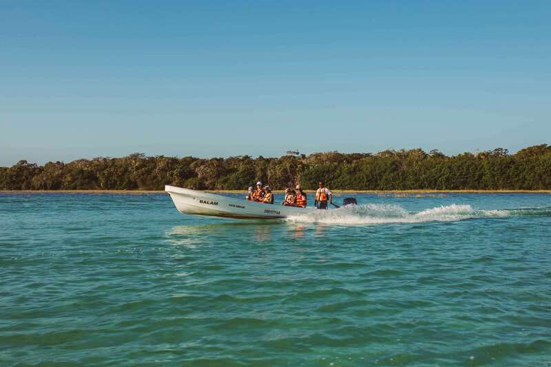 From Riviera Maya: Sian Ka'an Half Day Tour w/ Lunch - Getting From Tulum: Timing and Transfers That Affect Your Day