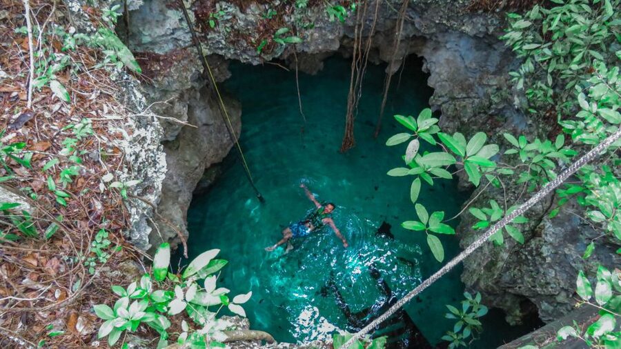 From Riviera Maya: Snorkeling & Private Cenote Half-Day Tour - Eco-minded choices that affect what you see