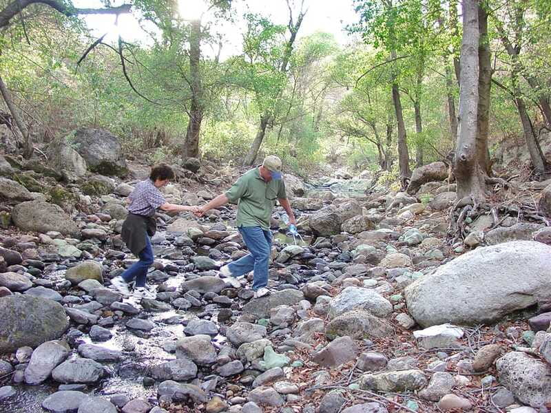 From San Miguel de Allende: Hiking in the Canyon with Lunch - Lunch at the ranch: handmade tortillas and nopales