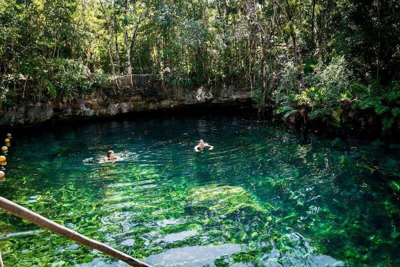 From Tulum: Four-Cenote Adventure - Cenote Azul snorkeling, seeing underwater life up close