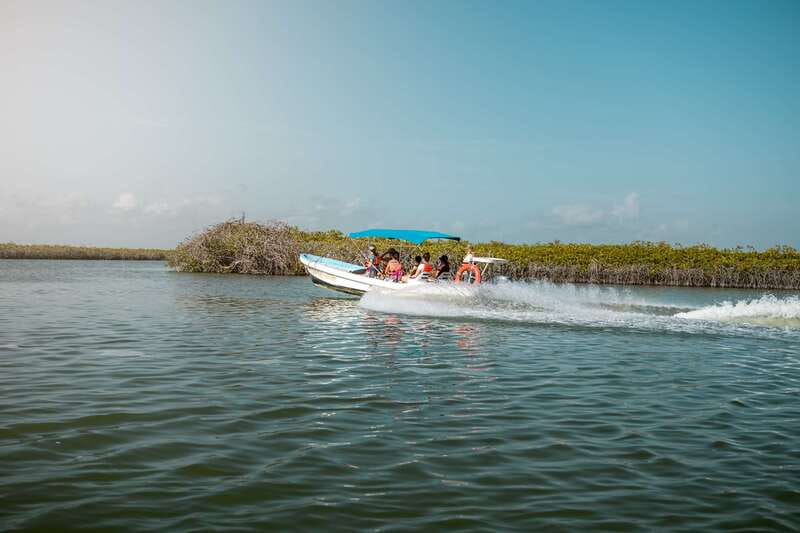 From Tulum: Sian Kaan Boat Trip Adventure with Lunch - Should You Book This Tulum to Sian Ka’an Boat Trip?