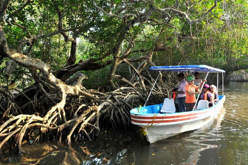 From Veracruz: Nature & Seafood Boat Tour to Madinga - Key things I’d mark on your mental map