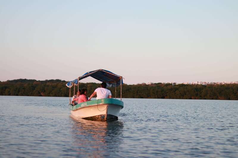 From Veracruz: Nature & Seafood Boat Tour to Madinga - Two lagoon crossings and a sunset among the mangroves