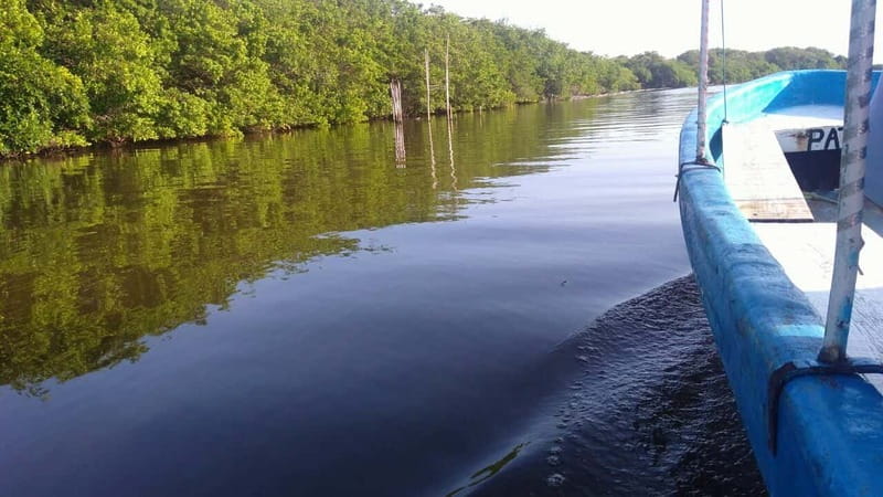 From Veracruz: Nature & Seafood Boat Tour to Madinga - What to bring (so the last hour is actually fun)