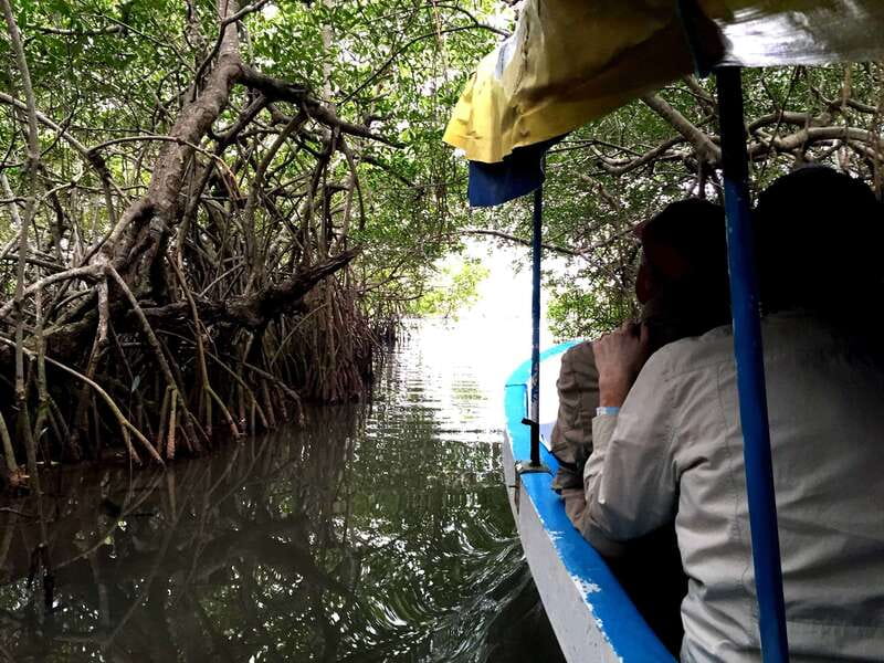 From Veracruz: Nature & Seafood Boat Tour to Madinga - Price and logistics: why the math works, and what to watch