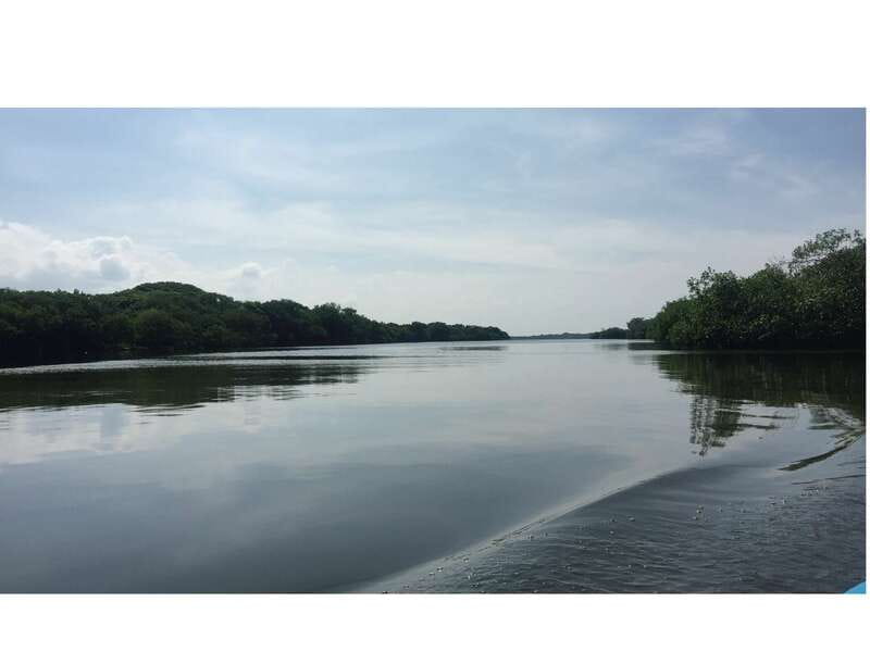 From Veracruz: Nature & Seafood Boat Tour to Madinga - Should you book the Veracruz to Mandinga boat tour?