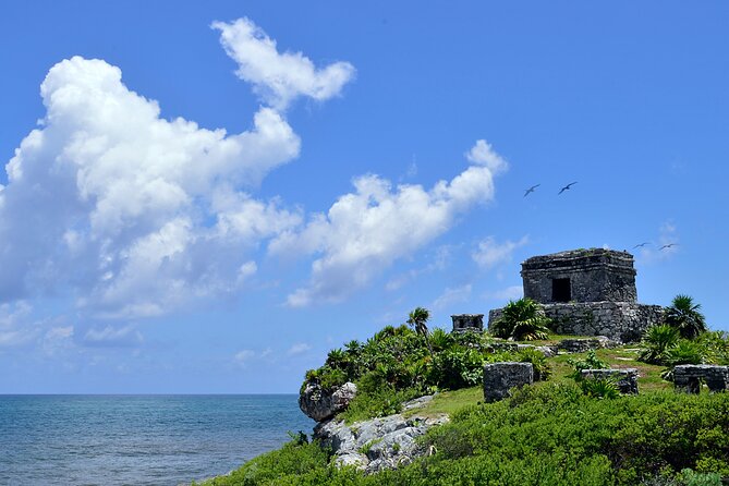 Full Day Guided Tour of Tulum and Coba, 4 places in 1 Day - Cenote Kuxtal: 1 hour to cool off and swim