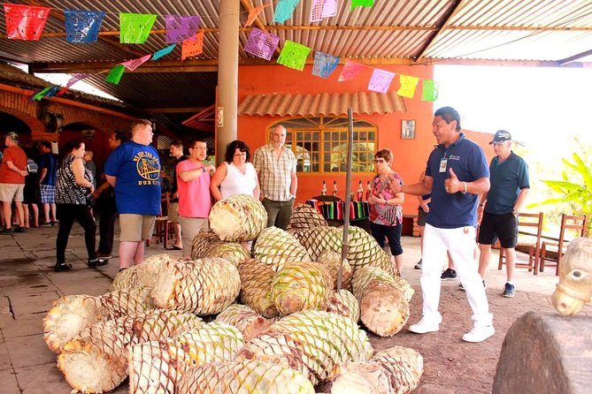 Full-Day Puerto Vallarta City Highlights Tour - The shopping stop question: plan for add-ons, not just city sightseeing