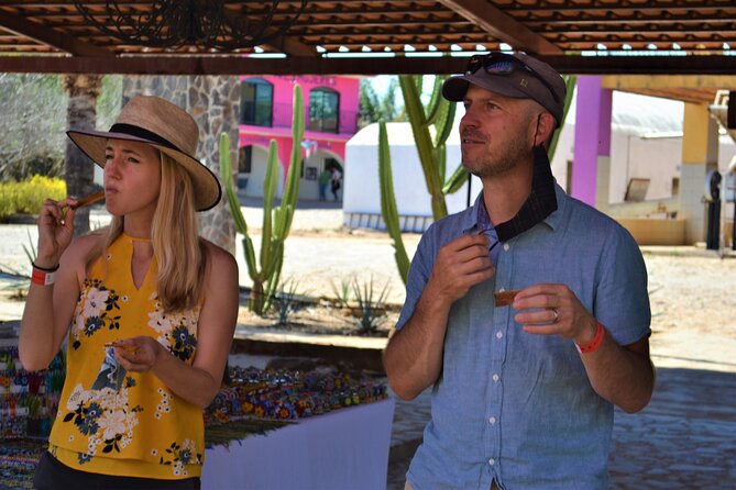 Full Day Tour to Tequila and Amatitán with Fun and Culture - Tequila Town Time: What to Do With 1.5 Hours