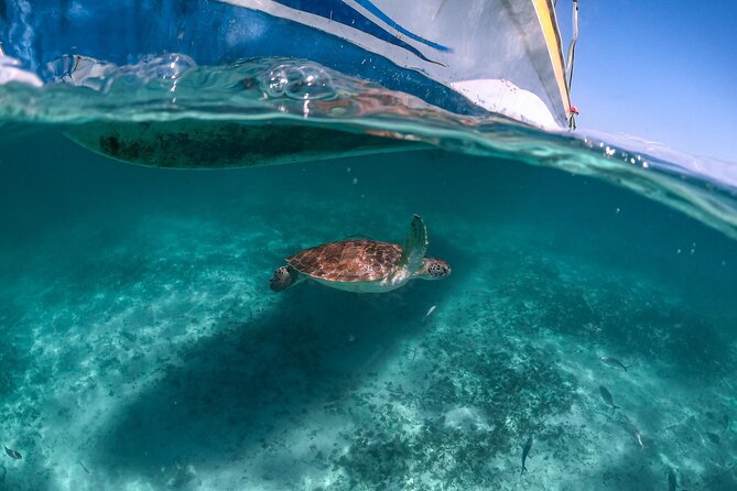 Full Day Tulum Ruins Tour Cenote and Swimming with Sea Turtles - Stop 1: Tulum Ruins With an Archaeological Guide and Real Sun Reality