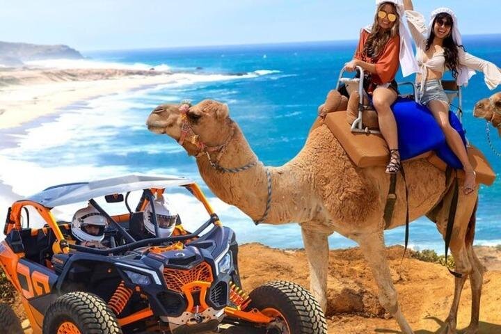 Fun Camel Ride and UTV COMBO with Tequila Tasting! - The phone, camera, and photo package reality check