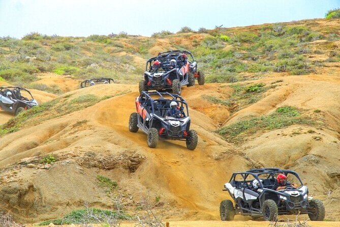 Fun Camel Ride and UTV COMBO with Tequila Tasting! - Price breakdown, and the real value math