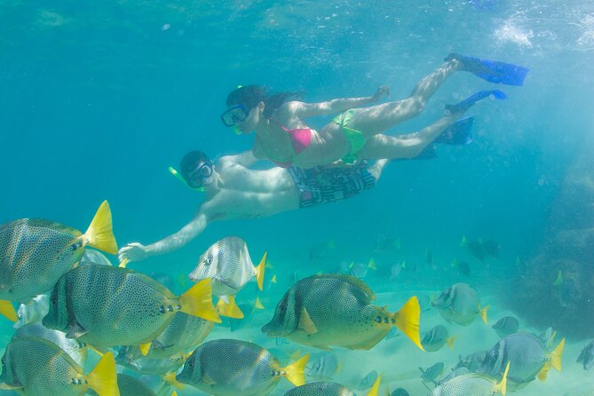 Glass Bottom Boat to the Arch and Lovers Beach: Optional Pickup - Who This Tour Fits Best (and Who Should Look Elsewhere)