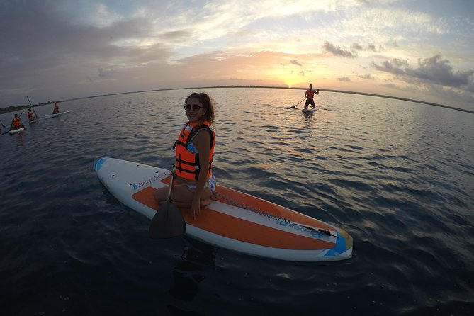 Golden Hour at Mariscal Lagoon: A Sunset to Remember - The Paddle Experience: From First Stand to Sunset Views