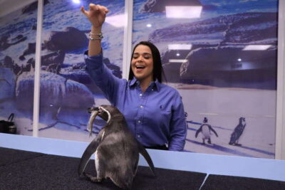 Gran Acuario Mazatlan