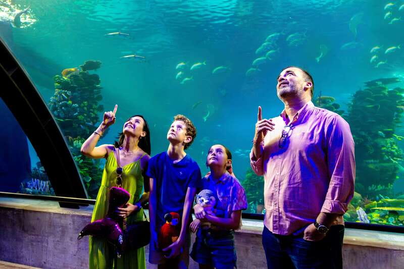Gran Acuario Mazatlan - Scuba diver show and rays: what you can see, what you cannot do