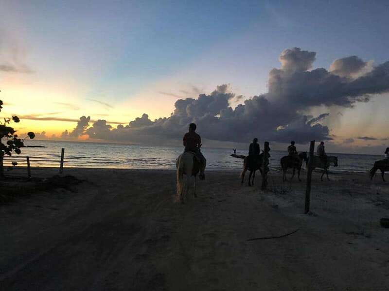 Group horseback ride on Holbox Island, Quintana Roo - Key Highlights at a Glance