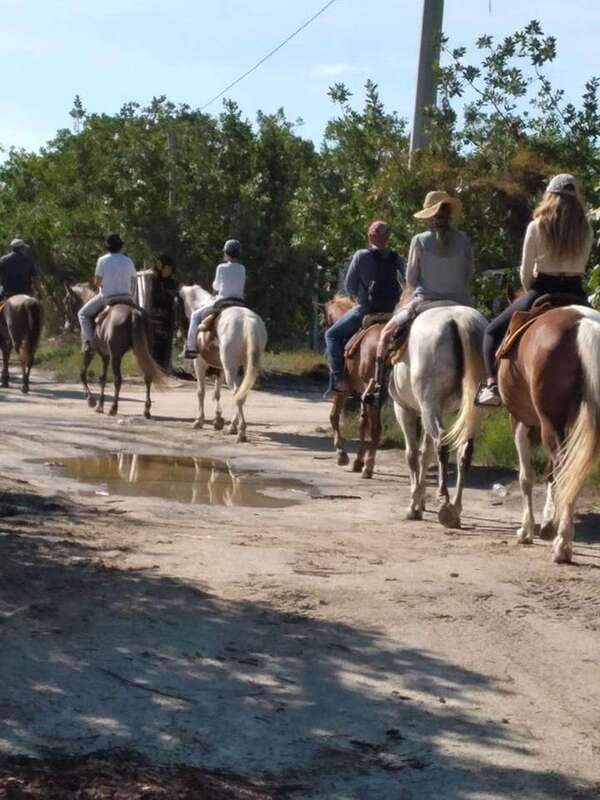 Group horseback ride on Holbox Island, Quintana Roo - Why Punta Siricote Makes This Holbox Horse Ride Feel Worth It
