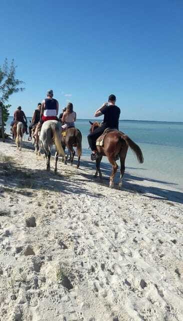 Group horseback ride on Holbox Island, Quintana Roo - Your Own Horse for the Whole Ride, Plus a Guide Staying With You