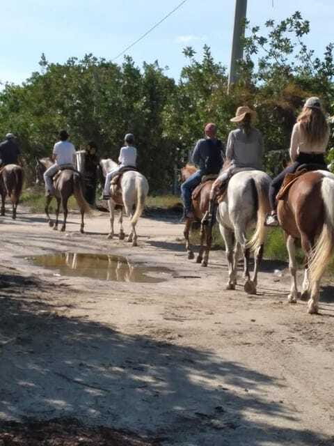 Group horseback ride on Holbox Island, Quintana Roo - Price and Value: Is $71 a Good Deal for an 80-Minute Ride?