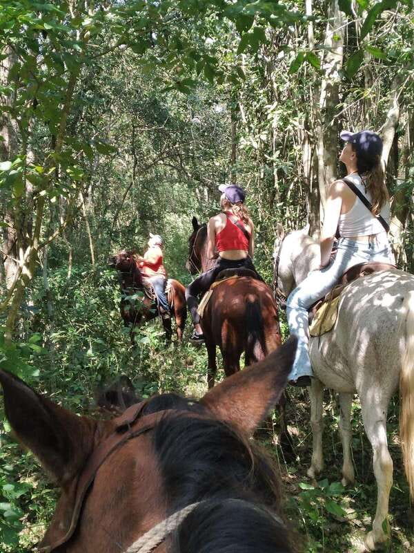 Group horseback ride on Holbox Island, Quintana Roo - Meeting Up, Finding the Spot, and Getting Comfortable Fast