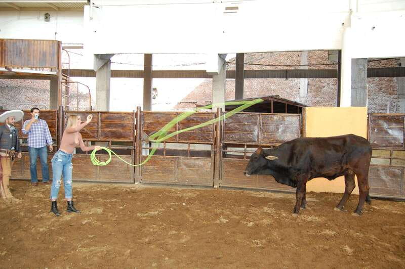 Guadalajara: Mexican Charro and Charreada Cultural Tour - The charreada atmosphere: competitions, guided tasks, and arena energy