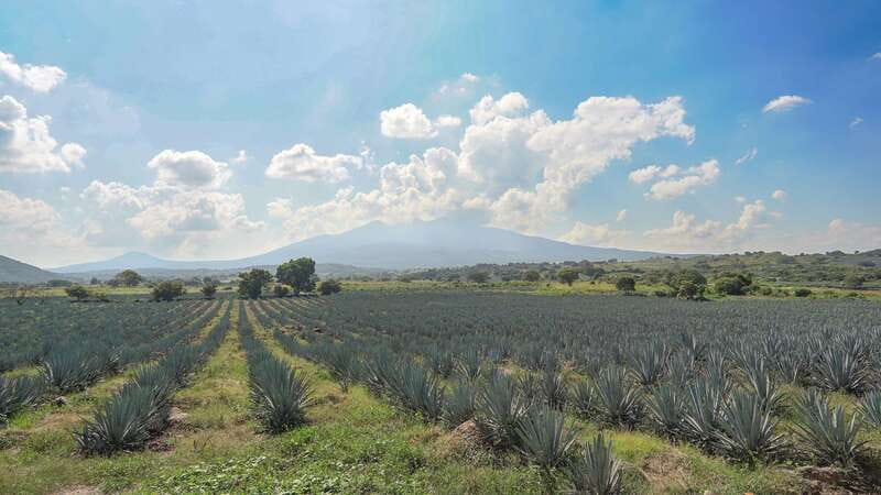 Guadalajara: Premium Tequila Tour with Tastings and Pairings - Entering the Tequila Route from Guadalajara with a volcano viewpoint