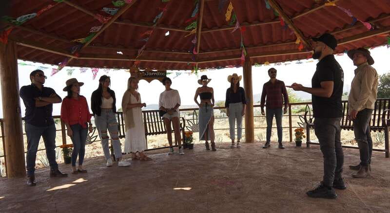 Guadalajara: Premium Tequila Tour with Tastings and Pairings - El Pedregal hacienda: open bar tasting, swings, and photo time with volcano-agave views