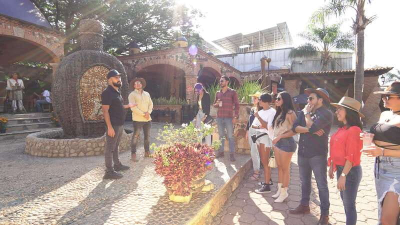 Guadalajara: Premium Tequila Tour with Tastings and Pairings - Tequila Selecto de Amatitlán: the ancestral process, modern methods, and a real tasting