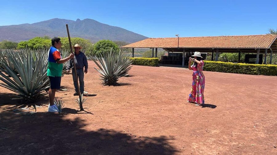 Guadalajara: Tequila Day Trip with Jose Cuervo Option - Key Highlights to Know Before You Go