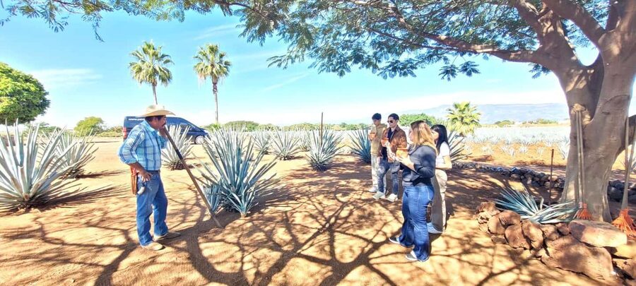 Guadalajara: Tequila Day Trip with Jose Cuervo Option - What to Bring, and the Small Stuff That Makes the Day Go Smooth