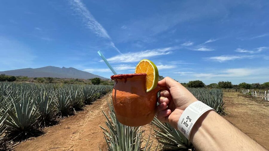Guadalajara: Tequila Day Trip with Jose Cuervo Option - Tequila Country From Guadalajara: Drive Time That Feels Like a Pre-Show